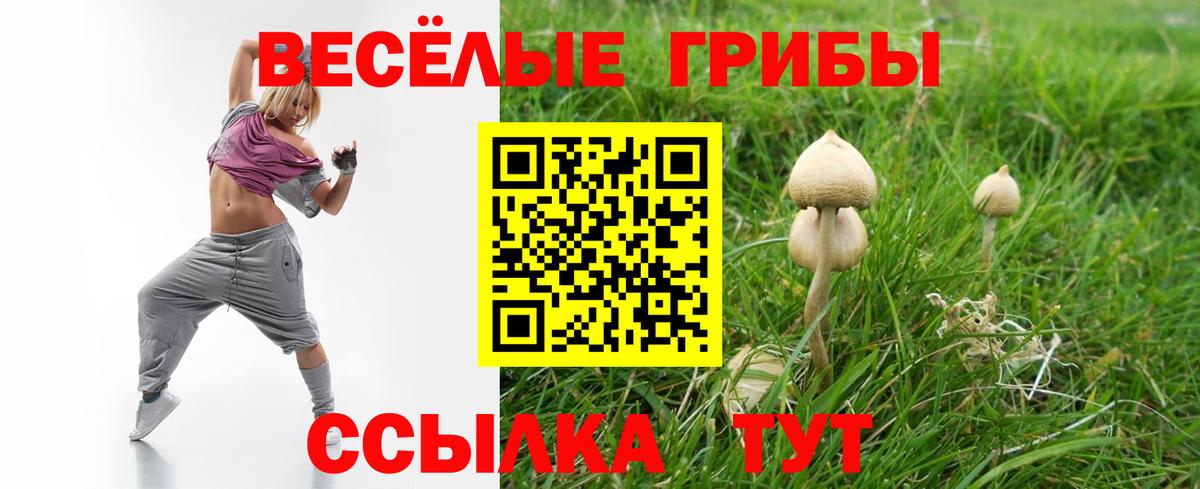 Тобольск  Псилоцибиновые грибы MAGIC MUSHROOMS  Вход с VPN  Галлюциногенные грибы ЛСД 