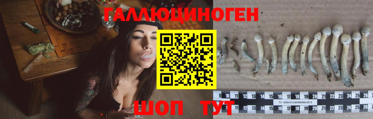 Галлюциногенные грибы MAGIC MUSHROOMS Тобольск